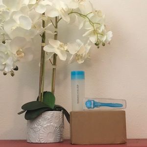 Rodan and Fields Micro Needler + cleaning case